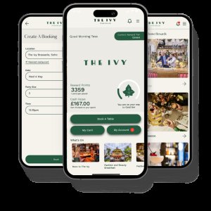 Un aperçu de ivybet tours gratuits
